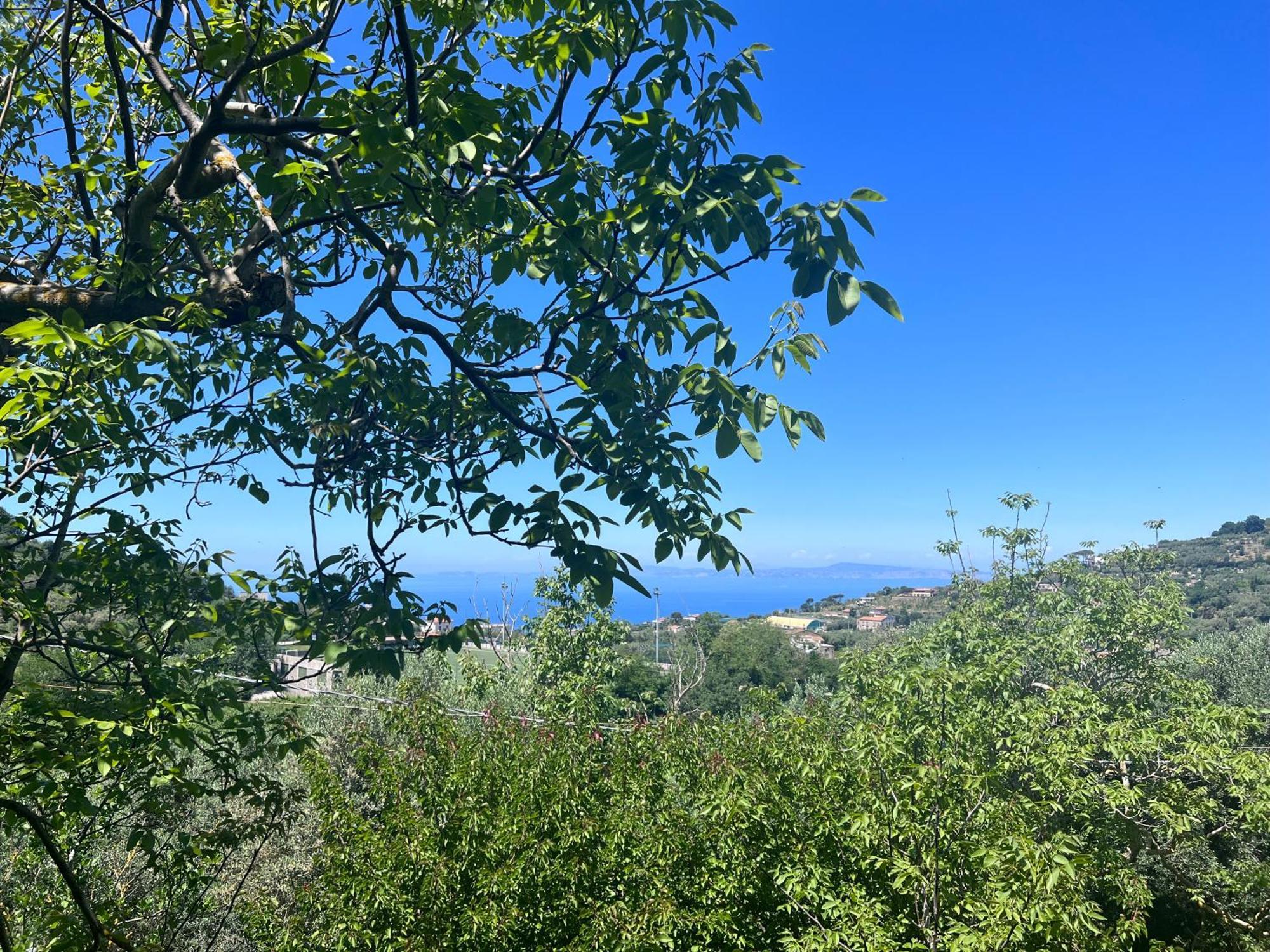 Holiday home La Noce House Massa Lubrense